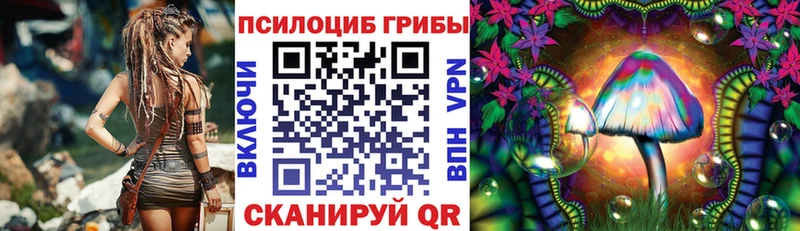 Псилоцибиновые грибы GOLDEN TEACHER  Купить где  Дрезна 